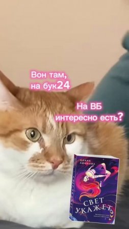 Где найти книгу Д.Адамовой «Свет укажет» #чтопочитать #букток #книги #youngadultbooks #книжныймем