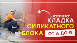 Как собрать стену из СБПу-250 за 24 часа? Пошаговый мастер-класс для новичков