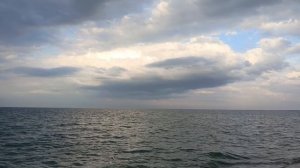 Крым.Бакальская коса