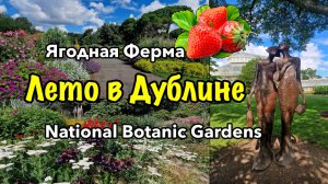 Ирландия🇮🇪Дублин/Ягодная Ферма/Ботанический Сад/Викторианская Оранжерея/Бесстрашные Белки/Черепахи