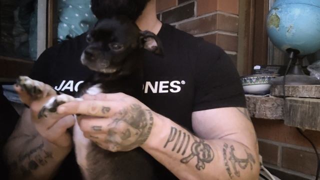 Травкин рвёт танцполы