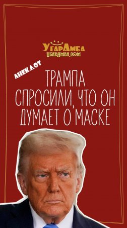 Трампа спросили, что он думает о Маске