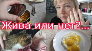 03-07-2025 ПОСЛЕДНИЕ НОВОСТИ * ОТРЫВАШКА ДЛЯ КОНСЕРВОВ * НОРМАЛЬНЫЙ ВОПРОС