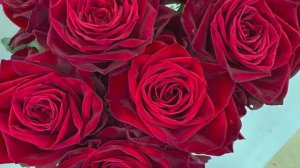 ГОЛЛАНДСКАЯ ВЫСТАВКА ЦВЕТОВ ROSE Flower EХРО 2025  В ТОКИО. Чемпионат мира по срезанным цветам