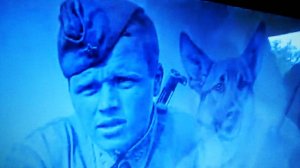 Так был ли Джульбарс на Параде Победы? Севастопольская версия