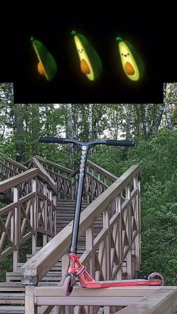 пять весёлых фактов
