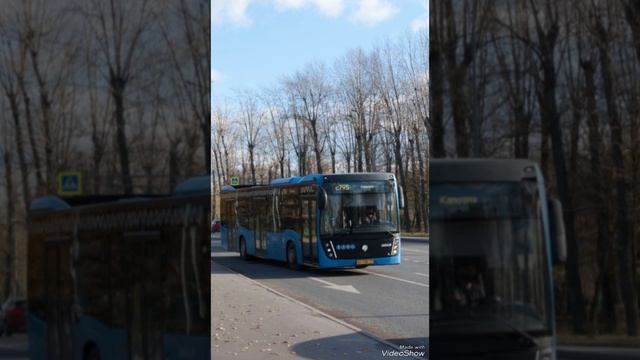 АВТОБУС РОДИЛСЯ С795 25 ИЮНЯ В 1976 ГОДУ