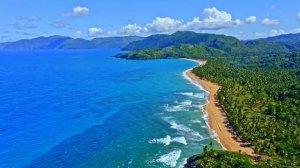 жизнь в открытом океане