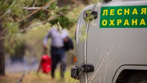 В Югре продолжают тушить 7 лесных пожаров