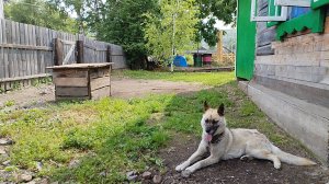 Ура !!! Жара ушла наконец  !!!