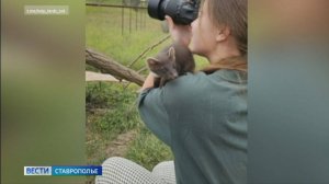 Куница помогает делать фотографии ставропольским волонтерам