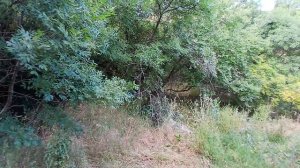 Участок 6 сот.ИЖС. Симеиз. Крым.