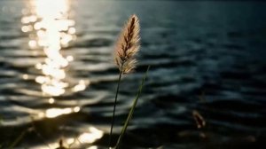 Солнце золотое. What Makes Russian POP Music So Addictive?