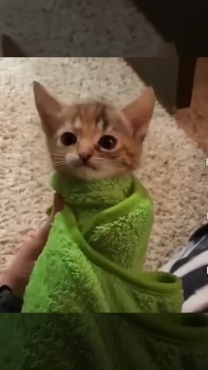 милашка🥰🥰🥰