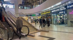 IQ квартал - 13.00