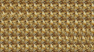 Стереозрение в деле: короткий отдых для глаз с музыкой • Визуальный перерыв