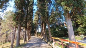 Кипарисовая аллея — парадная аллея дендрария в Сочи.