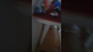 2 сезон 48 серия строгая психушка
