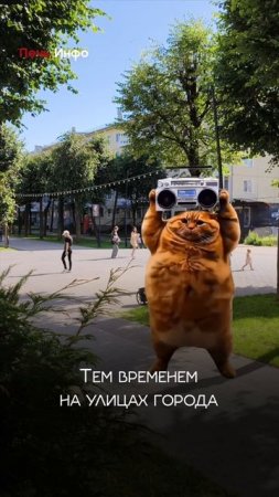 Смоленск утопает в солнечных лучах, а не в лужах!