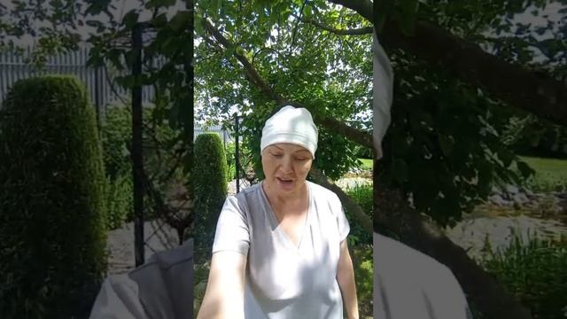 Лечим иву козью от ржавчины