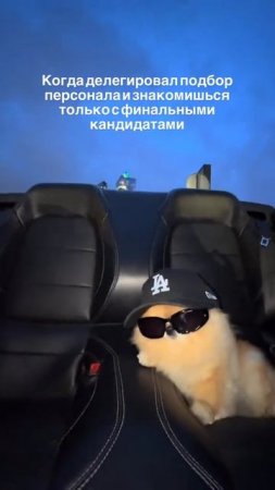 Буква П - предпринимательство😎