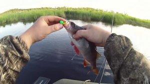 Жор Окуня Начался! Рыбачим На Маленькой Таёжной Речушке!