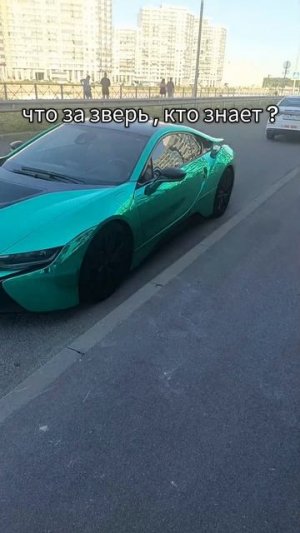 Последний Самурай