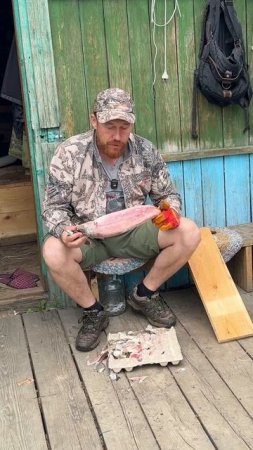 Едим строганину за 3000 км. от места улова