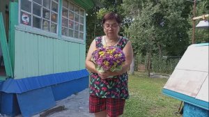 Жизнь в деревне -  Хроника дня. 02.08.24