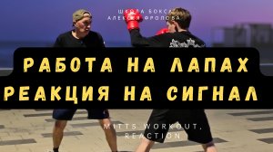 Работа на лапах: реакция на сигнал