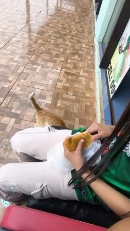 попрошайка