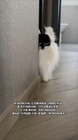 Эпик