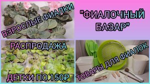 "ФИАЛОЧНЫЙ БАЗАР". Продажа фиалок. Товары для фиалок.