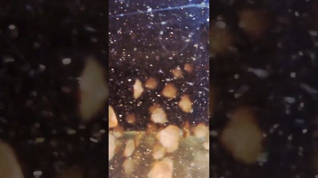Это вам не бледные, как поганки и клюватые от дискус-бабы!  Это Ягуары от Кристалла!