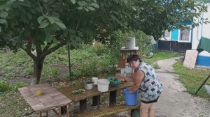 Жизнь в деревне. Хроника дня - 02.08.24