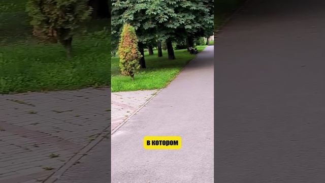День 2 часть1