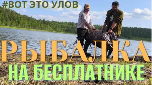 НЕ РЫБАЛКА, а просто ПЕСНЯ. Такое ТОЛЬКО В СКАЗКЕ бывает! Раздача рыбы и впечатлений КАРАСИ ГИГАНТЫ
