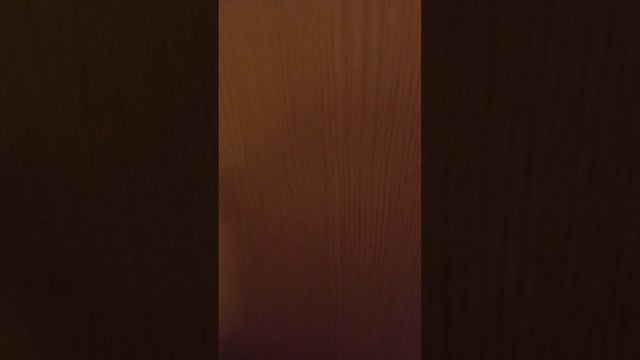 Pov: День в школе. #школа#