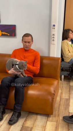 Кот интроверт  #котики #котвваленках