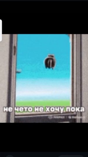 Не хочу не буду