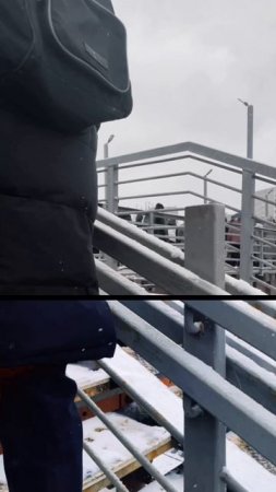 Вспомним зиму данный лет
#кино #видео #реальность