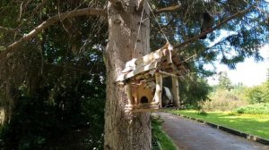 Ботанический Сад 2025