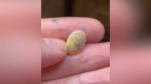 Кабошон опал Эфиопия