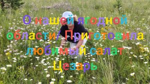 О нашей Ягодной области/ Приготовила салат Цезарь