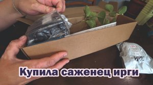 Обзор покупок с маркетплейсов: простыня, футболка, фитоверм, губка, саженец ирги, сахарозаменитель