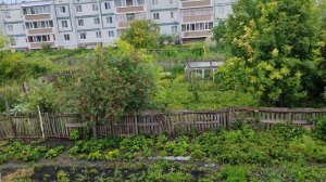Жизнь в деревне, деревенская атмосфера