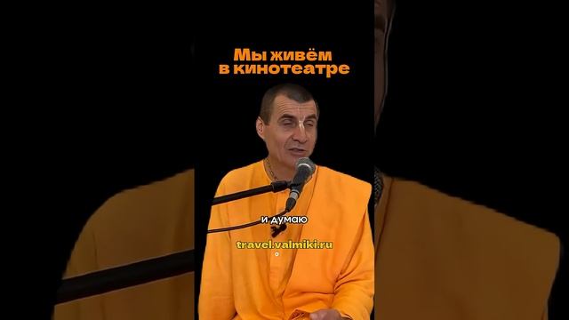 МЫ ЖИВЁМ В КИНОТЕАТРЕ