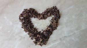 Ферментирую дома черноплодную рябину. Вкусный и полезный чай из листьев своими руками