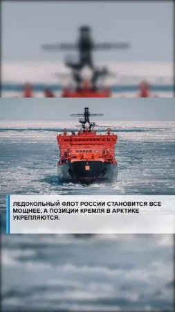 #семья #арктика #сво2025 #россия2025 #лаборатория #экономика #валберес #господдержка #путин #наука