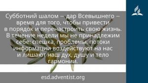 4 июля 2025. Субботний шалом. Под сенью благодати | Адвентисты